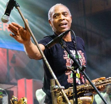 Le concert endiablé de Seun Kuti à l'Olympia: Une nuit de Afrobeat enflammée et une rencontre improbable avec Fela!